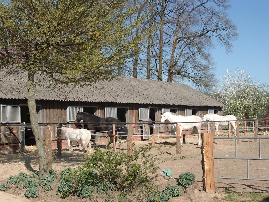 Ferienhof Schmidt Ankum Exterior photo